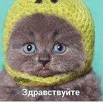 Сергей