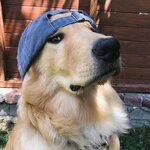 Макс